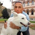 Niente paura dei cani