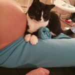 Gatti e neonati: Panda e Sean