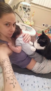 Gatti e neonati