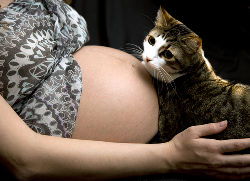 Gatti e neonati: una storia d'amore