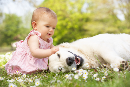 cuccioli e bambini