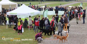 Quattrozampeinfiera a Padova