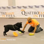 Quattrozampeinfiera Padova