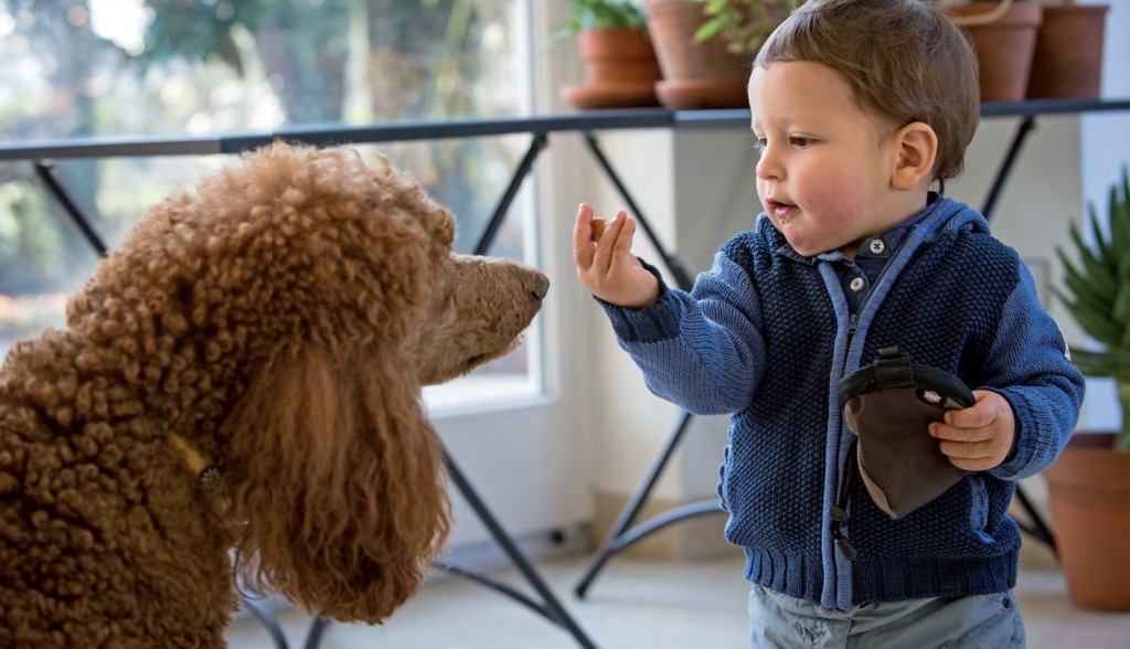 Corso per operatori Pet Therapy