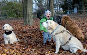 Corso per operatori Pet Therapy