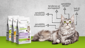 Cibo per gatti Solution Trainer