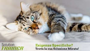 Cibo per gatti Solution Trainer