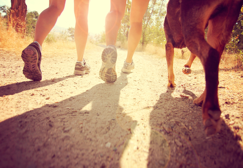 Correre con il cane