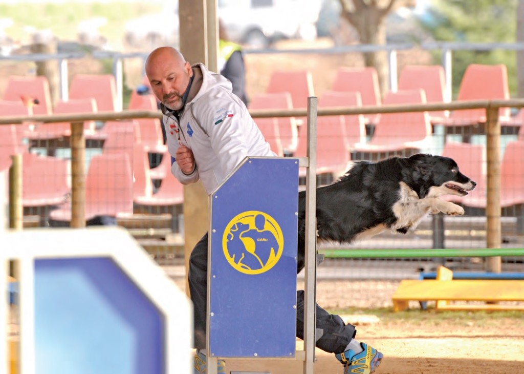 Maestro di Agility