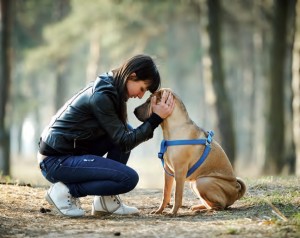 Rapporto con il cane