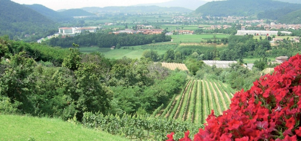 Vacanze in Franciacorta