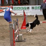 Agility Dog: l’emozione di arrivare ai mondiali