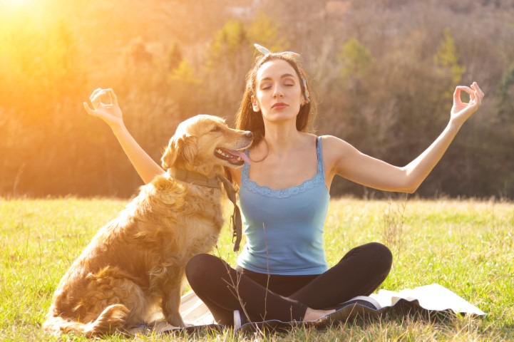 Cibo per cani