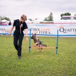 Quattrozampeinfiera Milano 2016