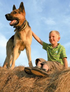 agriturismo-con-il-cane3