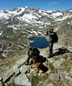 parco del gran paradiso