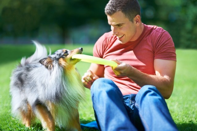 snack per cane