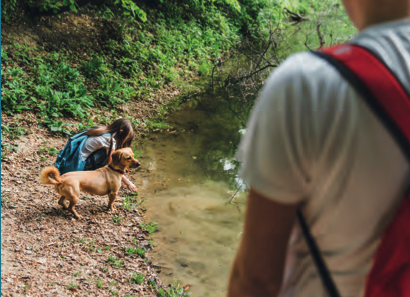 vacanze con il cane 