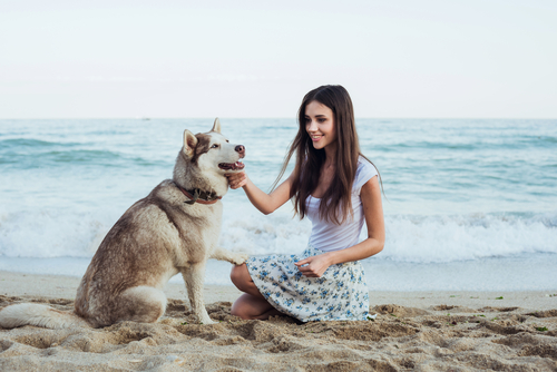 Vacanze con il cane