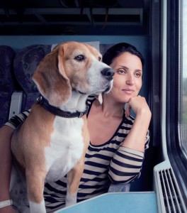 viaggiare-con-il-cane (2)