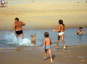 Il cane in spiaggia