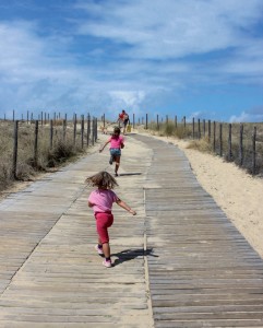 Al mare con il cane