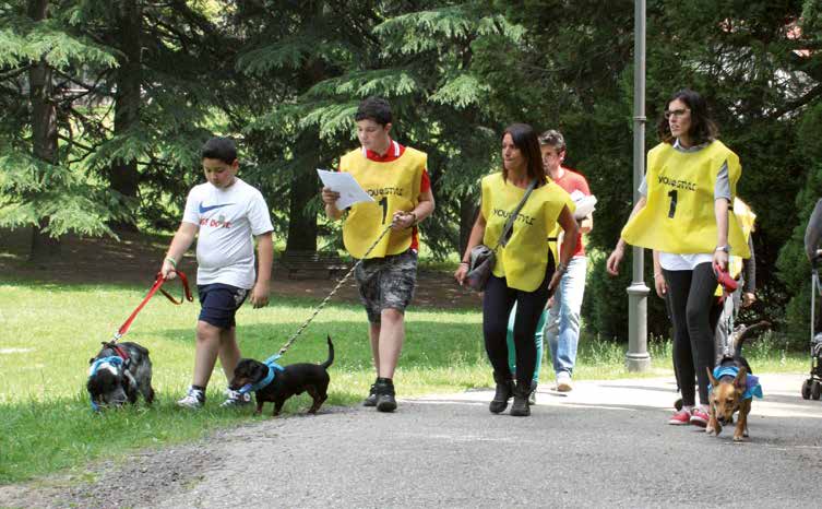 Giocare con il cane