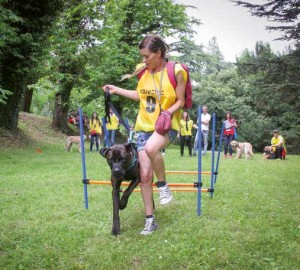 Giocare con il cane