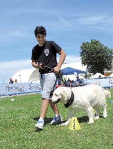 Rally obedience