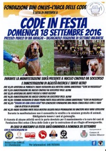 Cani da adottare: la festa