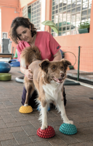 Personal trainer per il cane