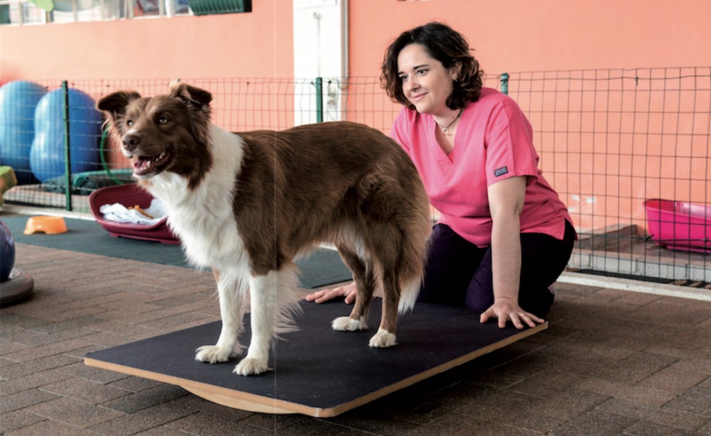 Personal trainer per il cane