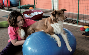 Personal trainer per il cane