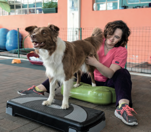 Personal trainer per il cane