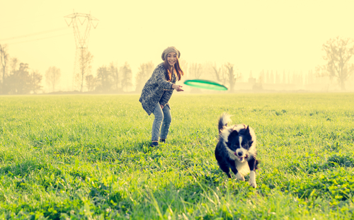 Giocare con il cane