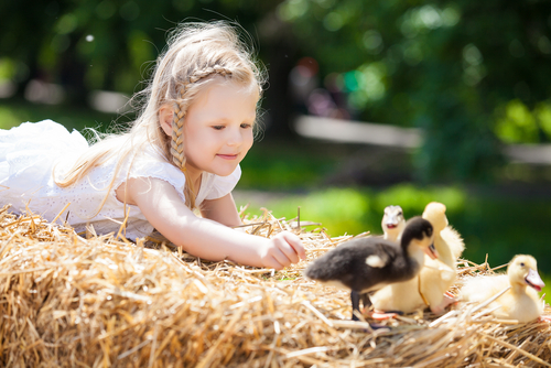 Il bambino e l’animale