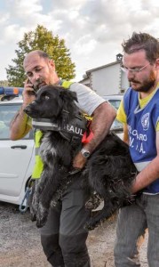 Terremoto ad Amatrice