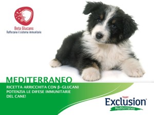 cibi per cani