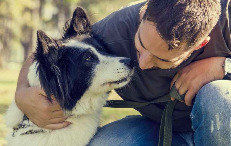 come addestrare un cane