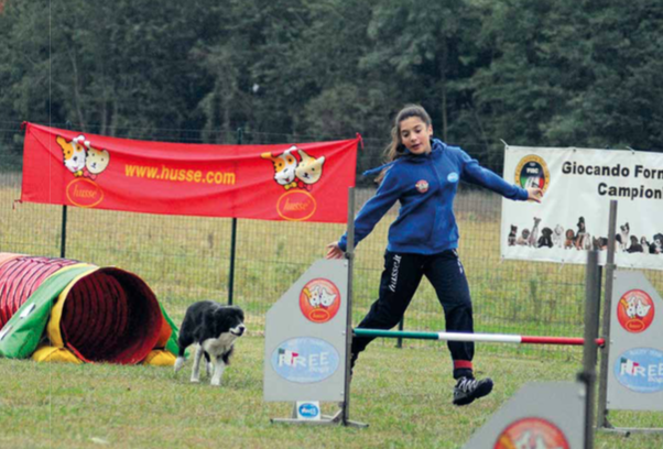 Agility Junior