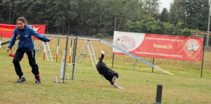 Agility Junior