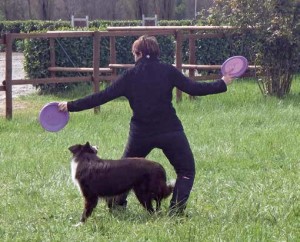 Disc dog