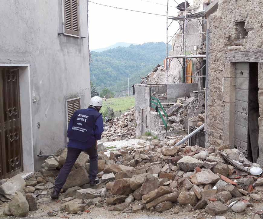 Gli animali sentono il terremoto