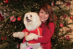 Natale per i cani