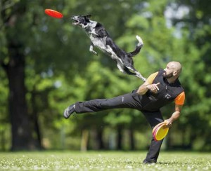 disc dog