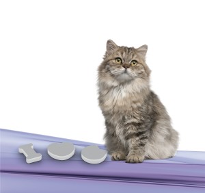 gatti sterilizzati e animali domestici: snack e fuoripasto