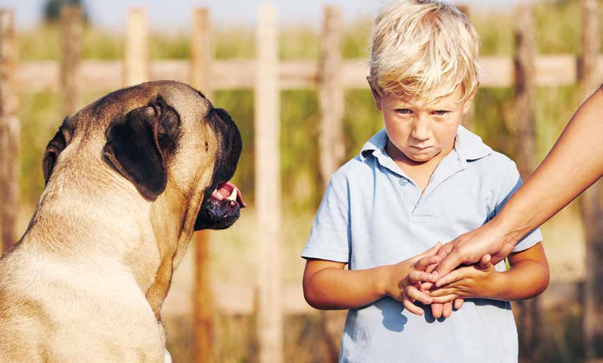 Evitare il morso del cane