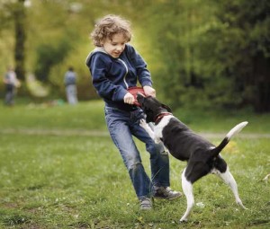 Evitare il morso del cane