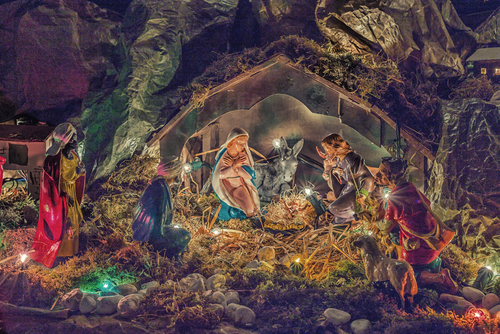 Gli animali del Presepe