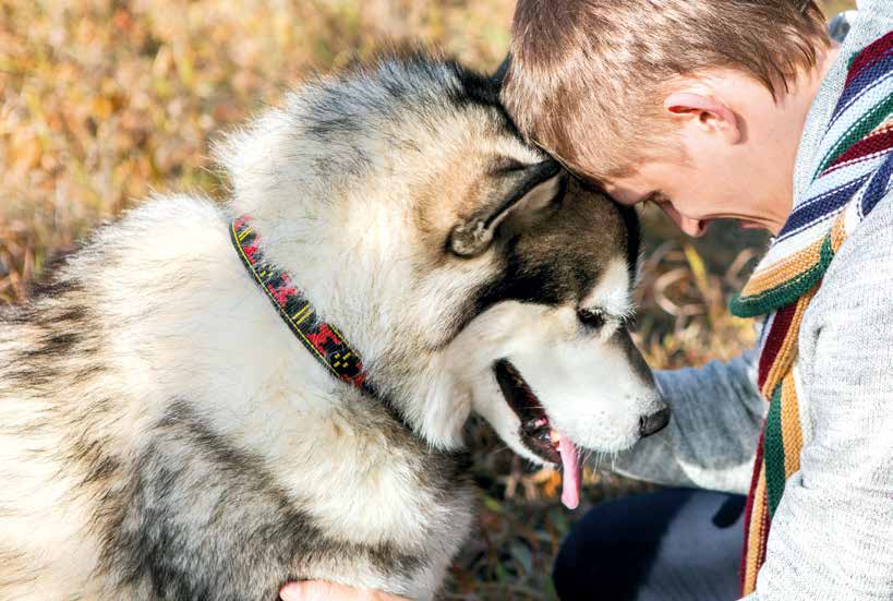 La passeggiata del cane